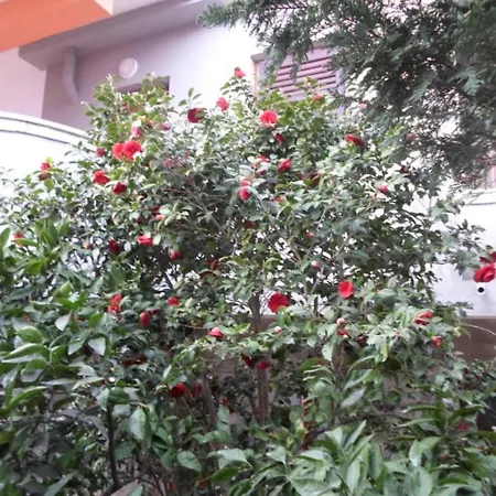 In With Air Conditioning, Wifi, Washing Machine 3360-2 * Banjole